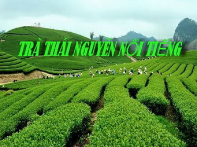 Car rental Thai Nguyen