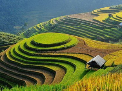 Rent a car to travel Yen Bai