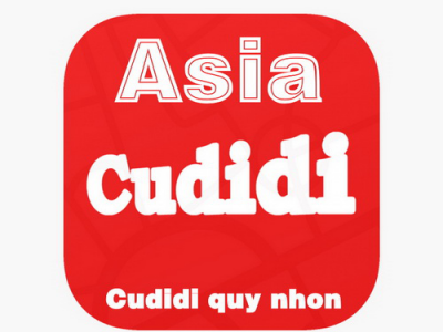Support for Cudidi Asia Quy Nhon Car Registration