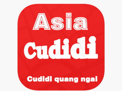 Support for Car Registration in Cudidi Quang Ngai
