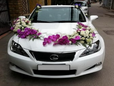 Car rental 4 seats Kien Giang